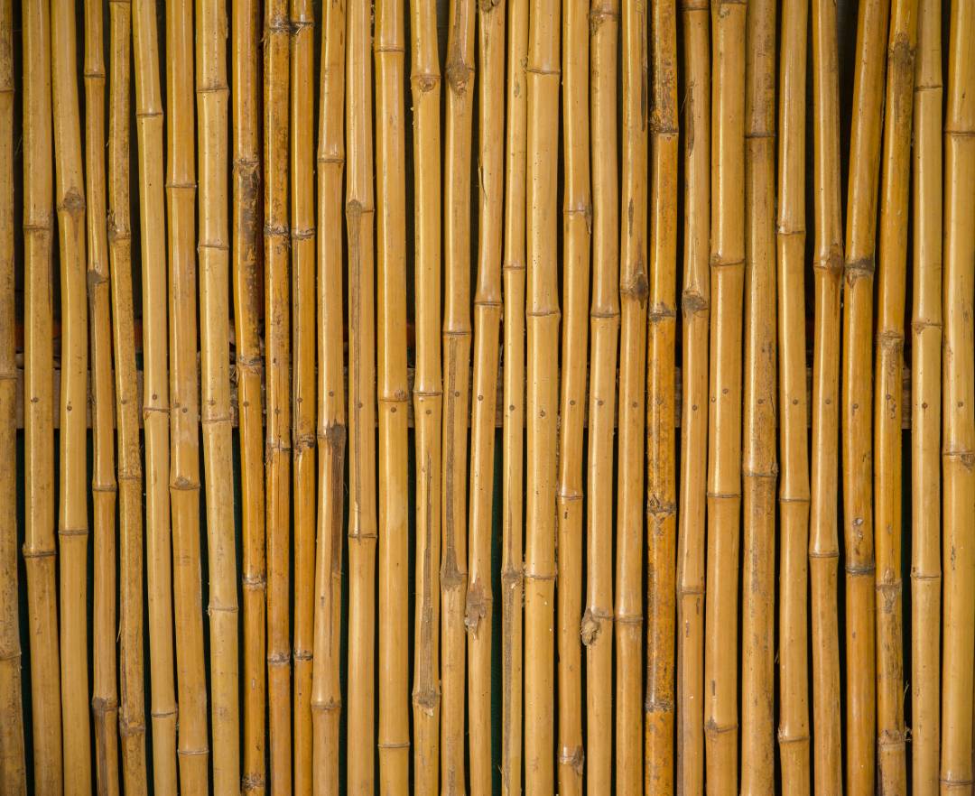 Bamboo Screens