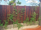 Bamboo Screen Jati Natural 2.1 x 2.4