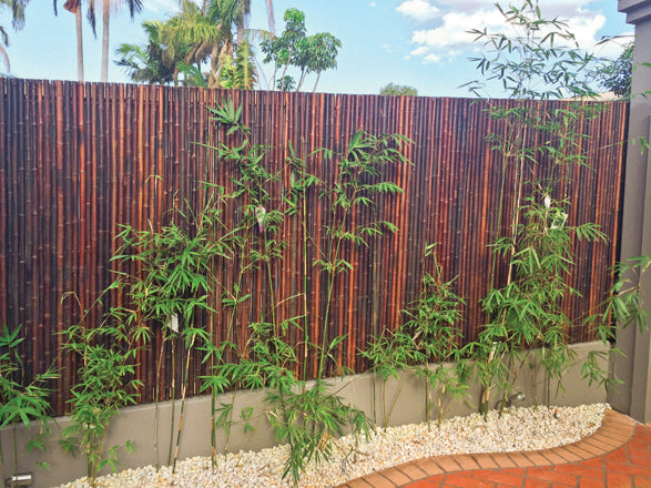 Bamboo Screen Jati Natural 2.1 x 2.4